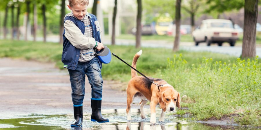 Pojke går med hund